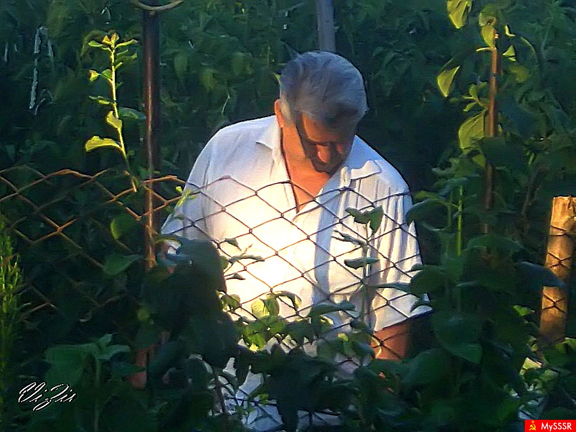 a neighbor in the garden