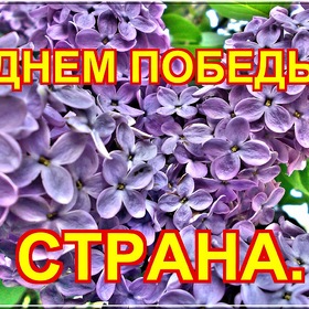   -  !