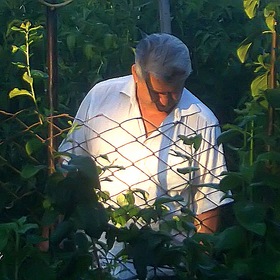 a neighbor in the garden