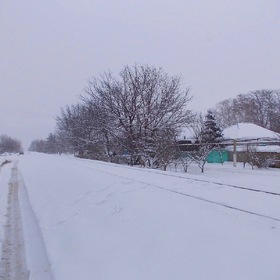  2015 .