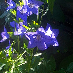 summertime